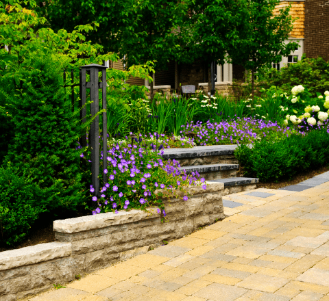Stone steps and purple flowers in garden